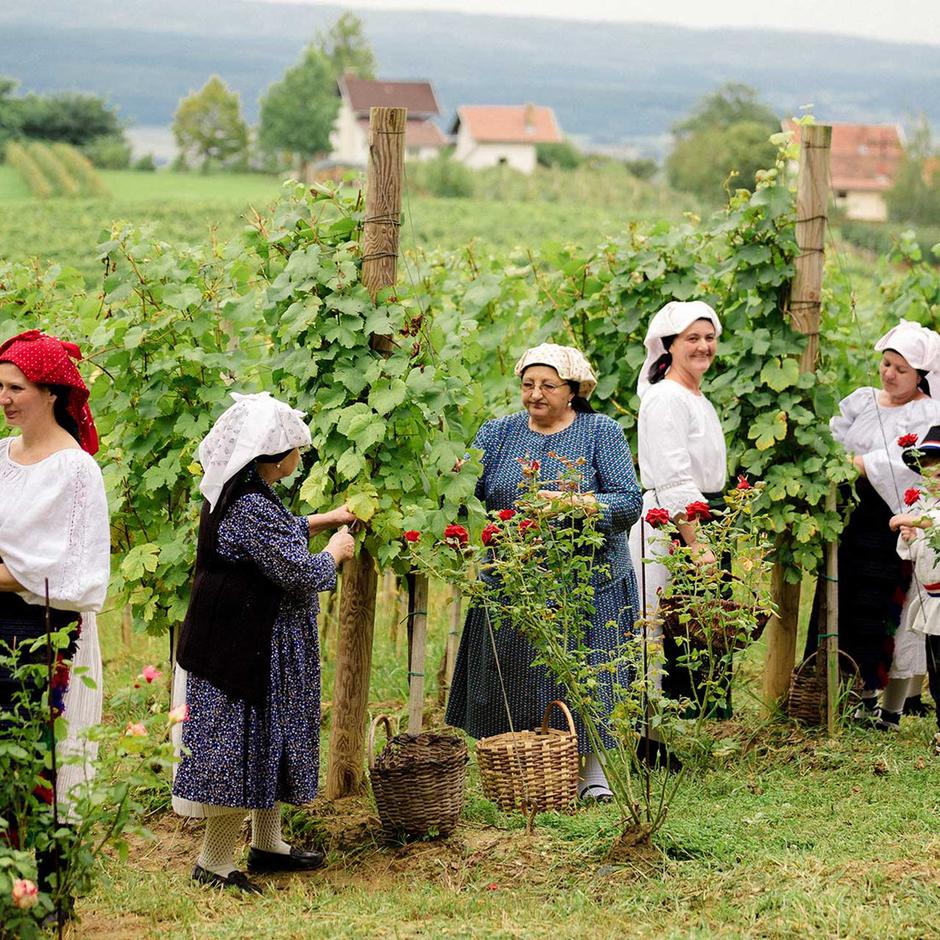 Požeško-slavonska županija