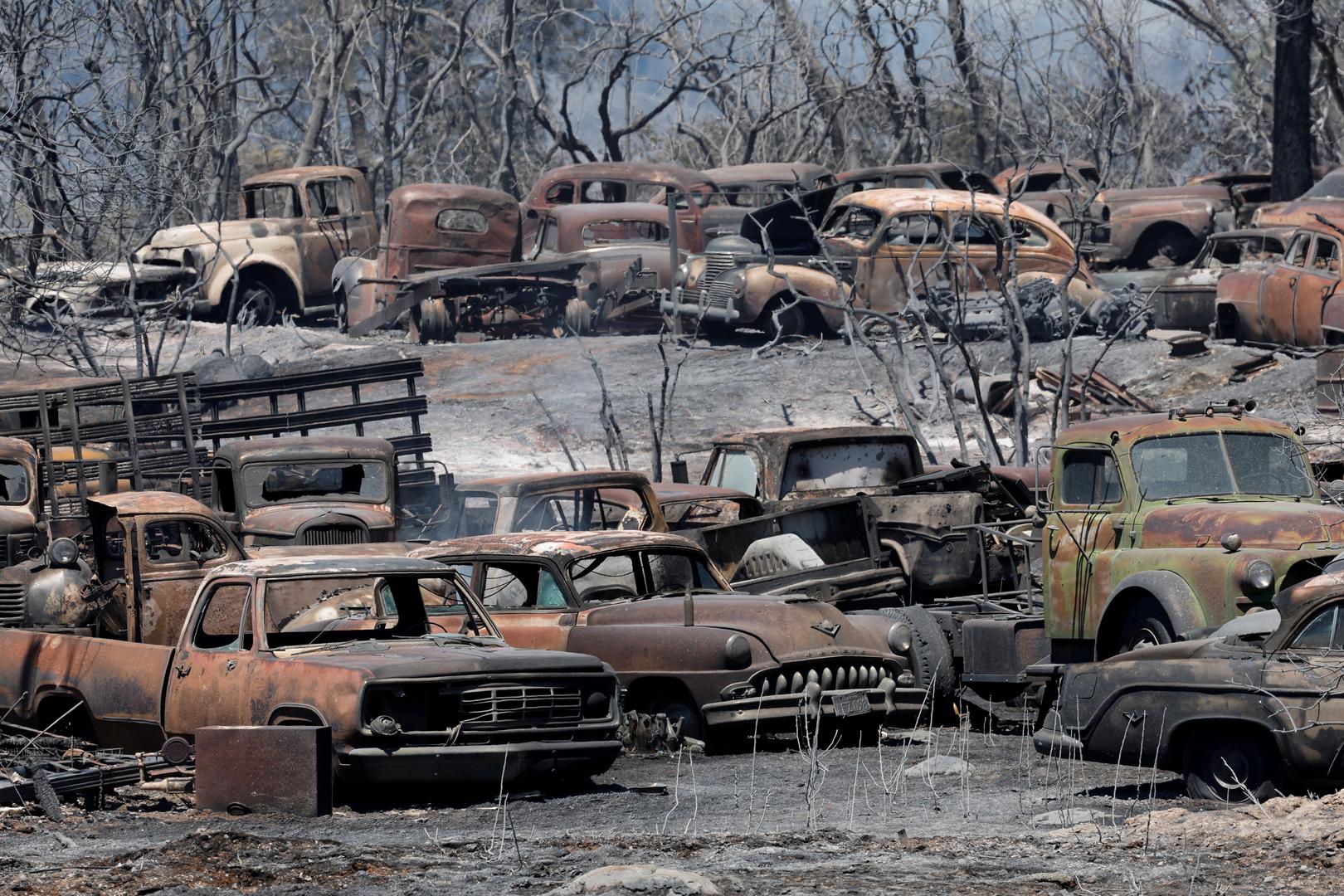 Vintage vehicles burned in the Park Fire are seen near Chico, California, U.S. July 26, 2024. REUTERS/Fred Greaves     TPX IMAGES OF THE DAY Photo: FRED GREAVES/REUTERS