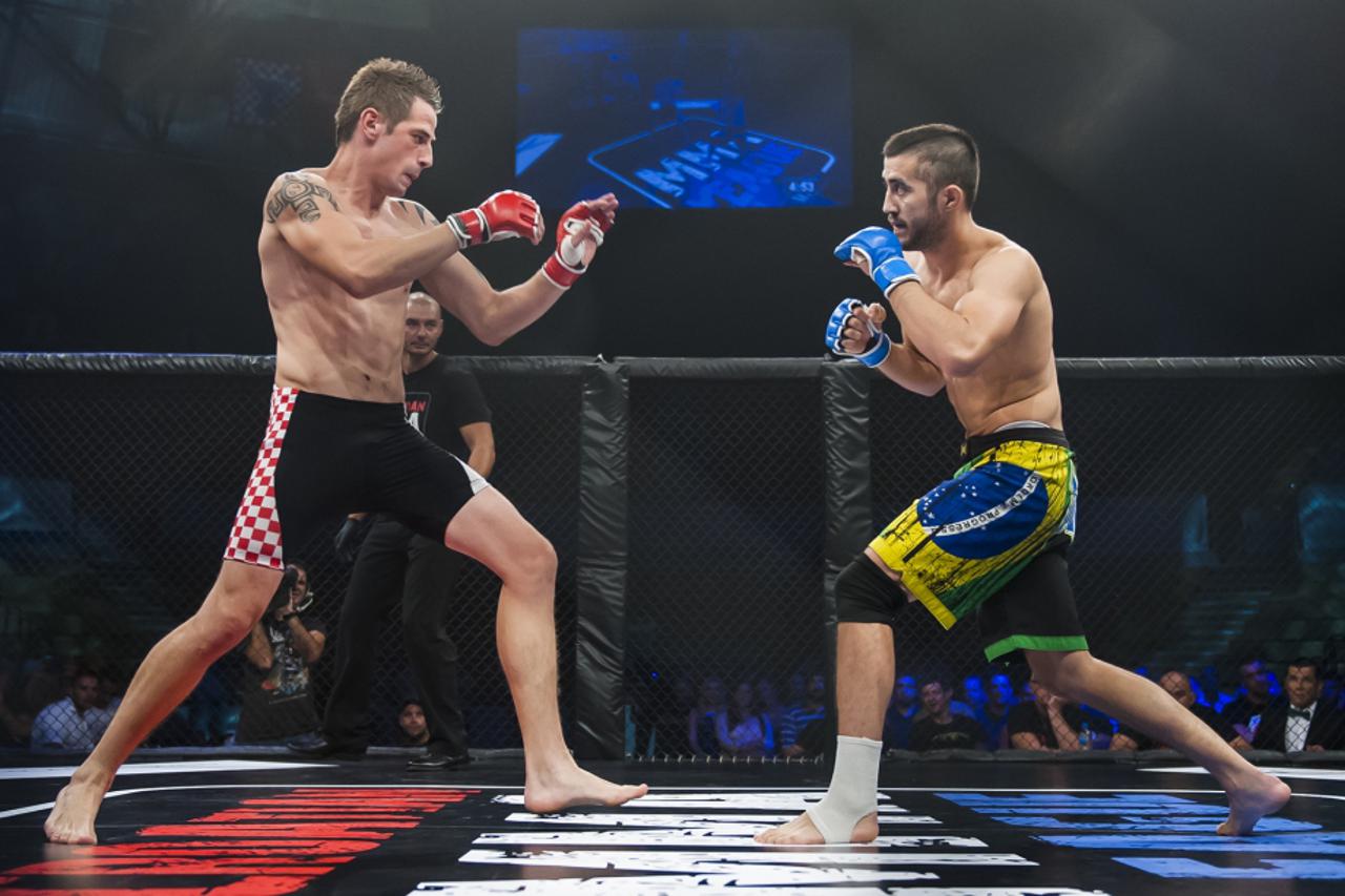 Hrvatska MMA liga (1)