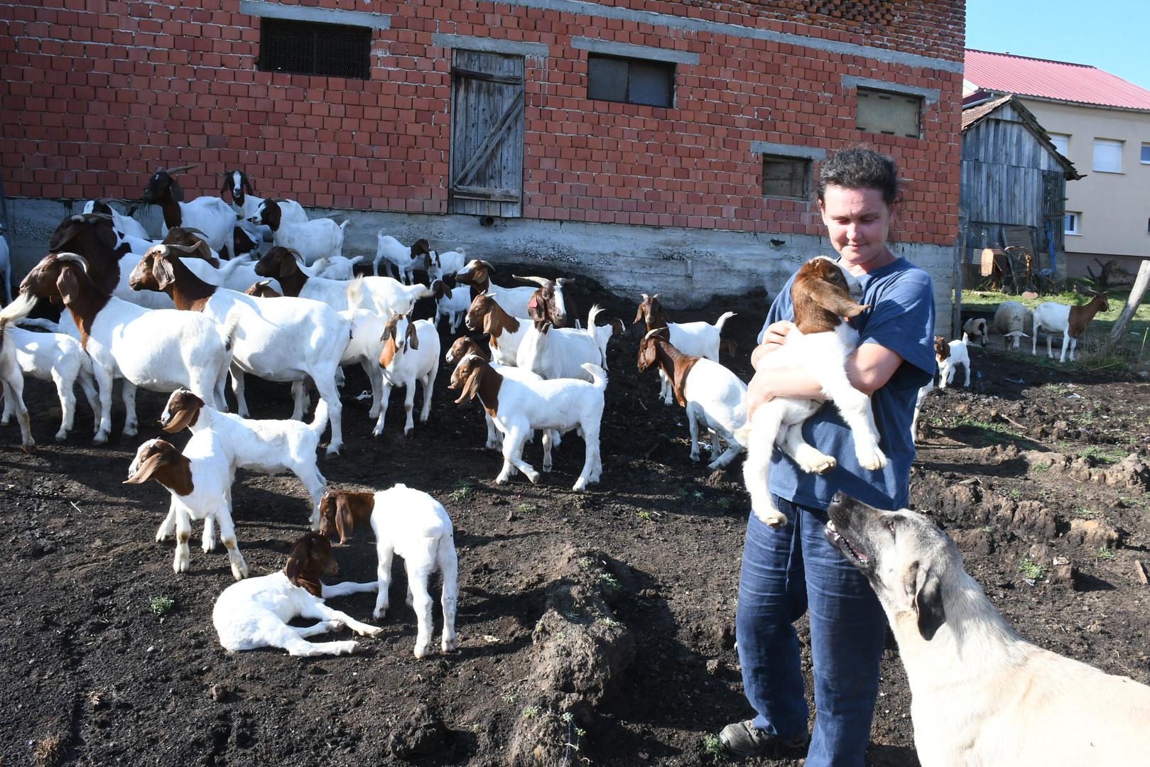 20.07.2023.,Bestrma - Izbor za najbolji OPG - Zlata vrijedan. OPG Anita Zrnic. Obitelj Zrnic - otac Sandro, majka Anita, kcerke Ela i Franka.
 Photo: Nikola Cutuk/PIXSELL