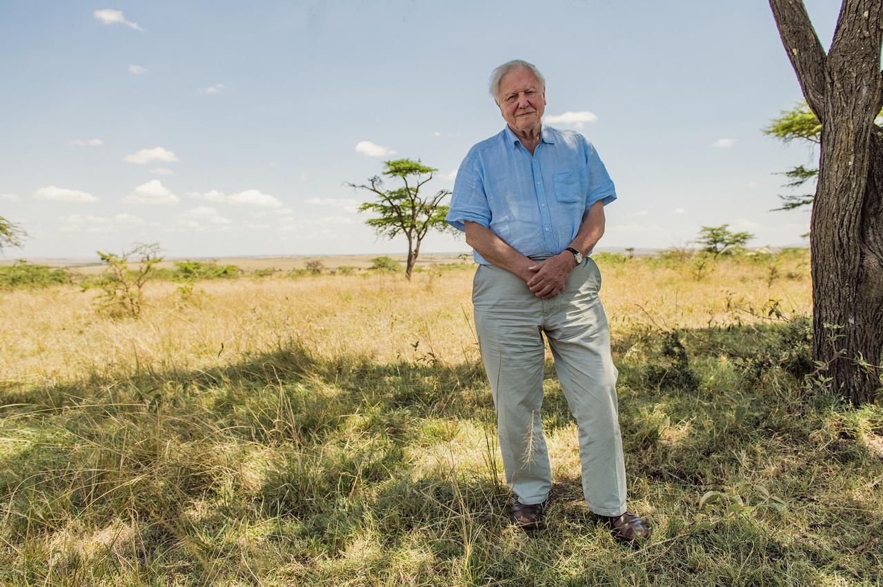 Sir David Attenborough