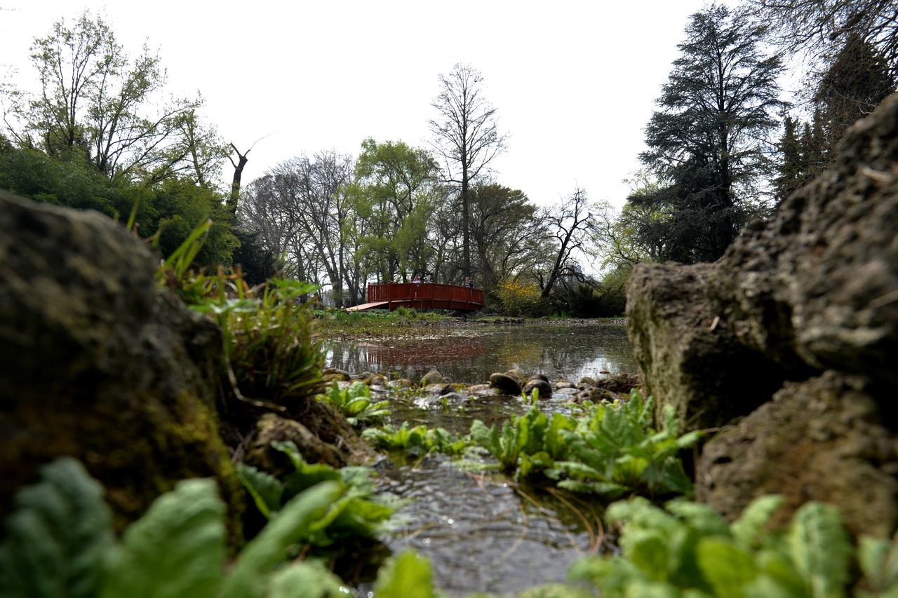 Zagreb: Botani?ki vrt Prirodoslovno-matemati?kog fakulteta Sveu?ilišta u Zagrebu