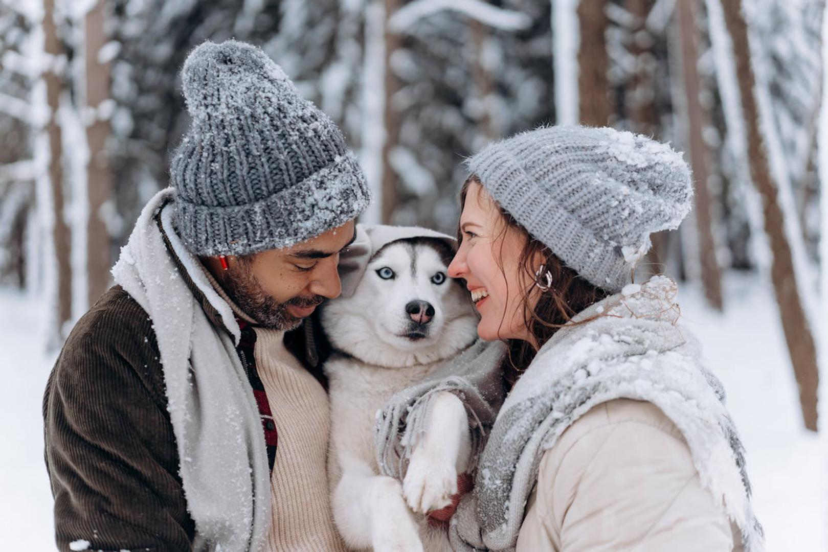 Kućni ljubimci donose radost i ljubav u naše domove, ali njihova uloga u poboljšanju kvalitete života ne staje samo na tome. Postoje znanstveni dokazi da životinje s kojima dijelimo životni prostor pozitivno utječu na naše fizičko i mentalno zdravlje. Prema istraživanju Američkog udruženja za srce, kućni ljubimac nije samo emocionalna investicija već i korak prema zdravijem, sretnijem životu. 