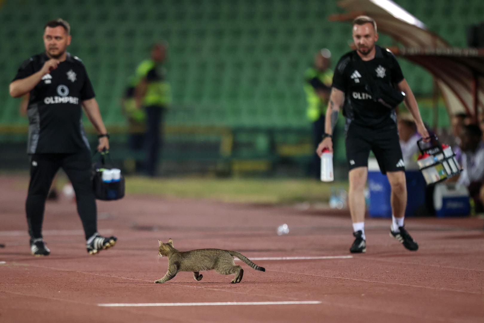 Inače, tijekom utakmice Sarajeva i kazahtanskog kluba na teren je utrčala mačka. Simpatična situacija dogodila se na samom početku susreta, kada se nestašna životinja dala u trk po travnjaku stadiona Asim Ferhatović Hase.