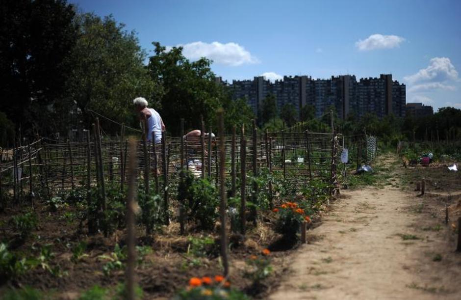 '05.07.2013., Zagreb - Gradski vrtovi za koje gradjani imaju dvogodisnje koncesije.  Vrtovi u naselju Sopot.  Photo: Daniel Kasap/PIXSELL'