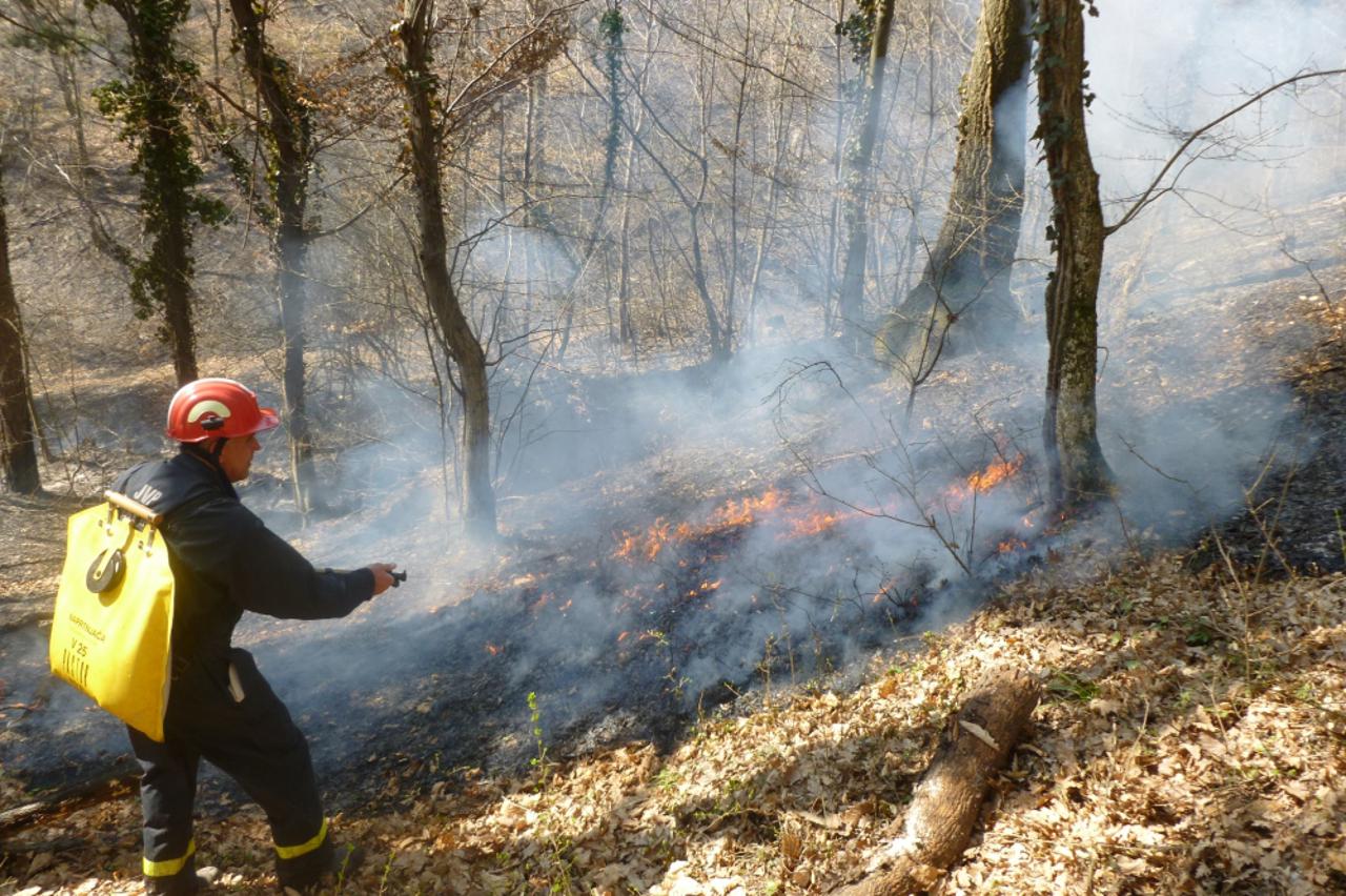 požar,gori lišće,vatrogasci,šuma (1)