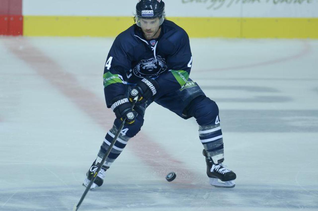 steve montador (1)