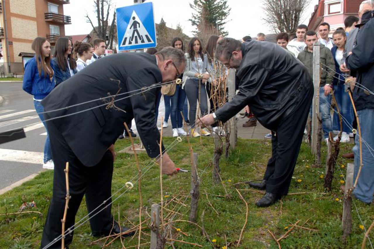 Kutjevo