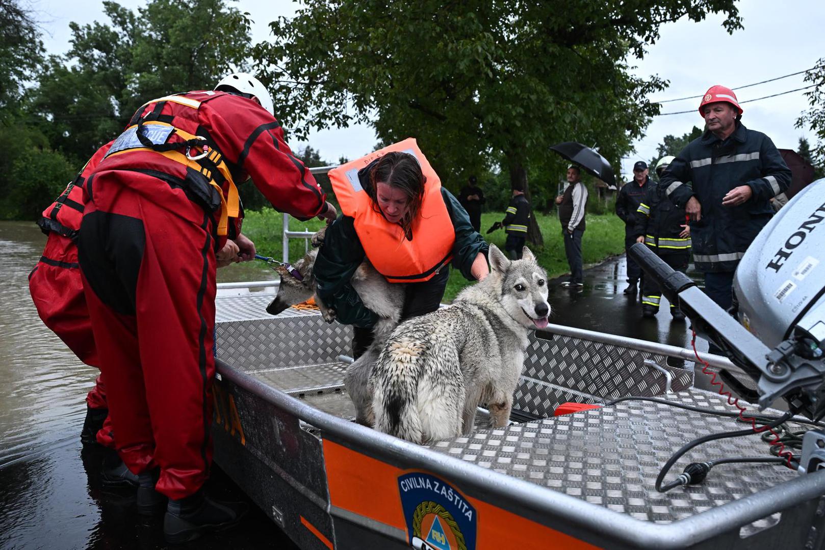 05.08.2023., Drenje Brdovecko - Civilna zastita i HGSS spasavaju zivotinje iz poplavljenjih domova Photo: Davor Puklavec/PIXSELL