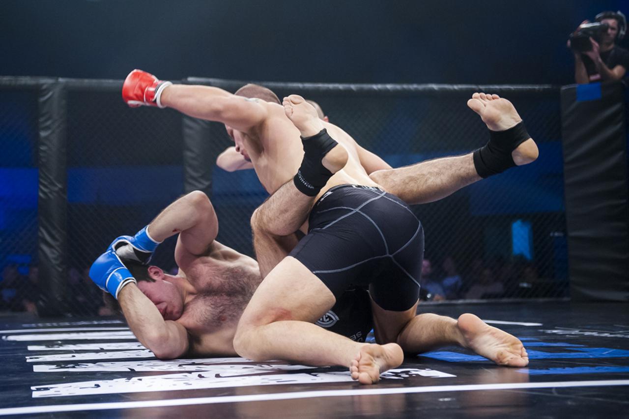 Hrvatska MMA liga (1)