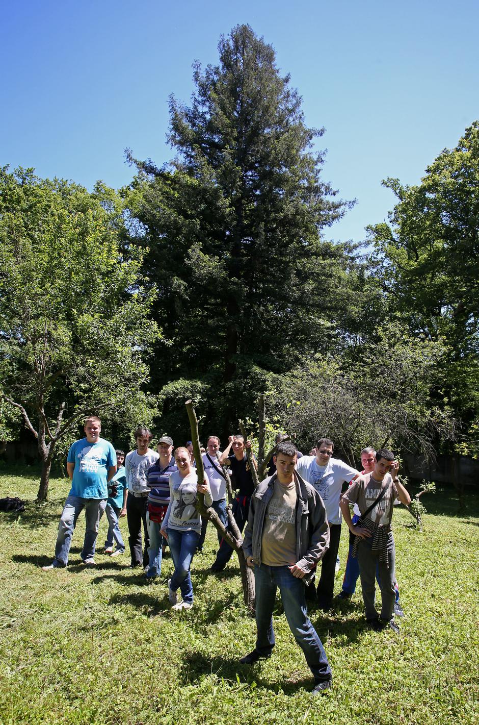 20.05.2014., Zagreb - Sekvoja, obalni mamutovac najstarije je drvo u Zagrebu, a nalazi se u Centru za rehabilitaciju Zagreb. Sticenici centra ispred drva sekvoje. Photo: Igor Kralj/PIXSELL