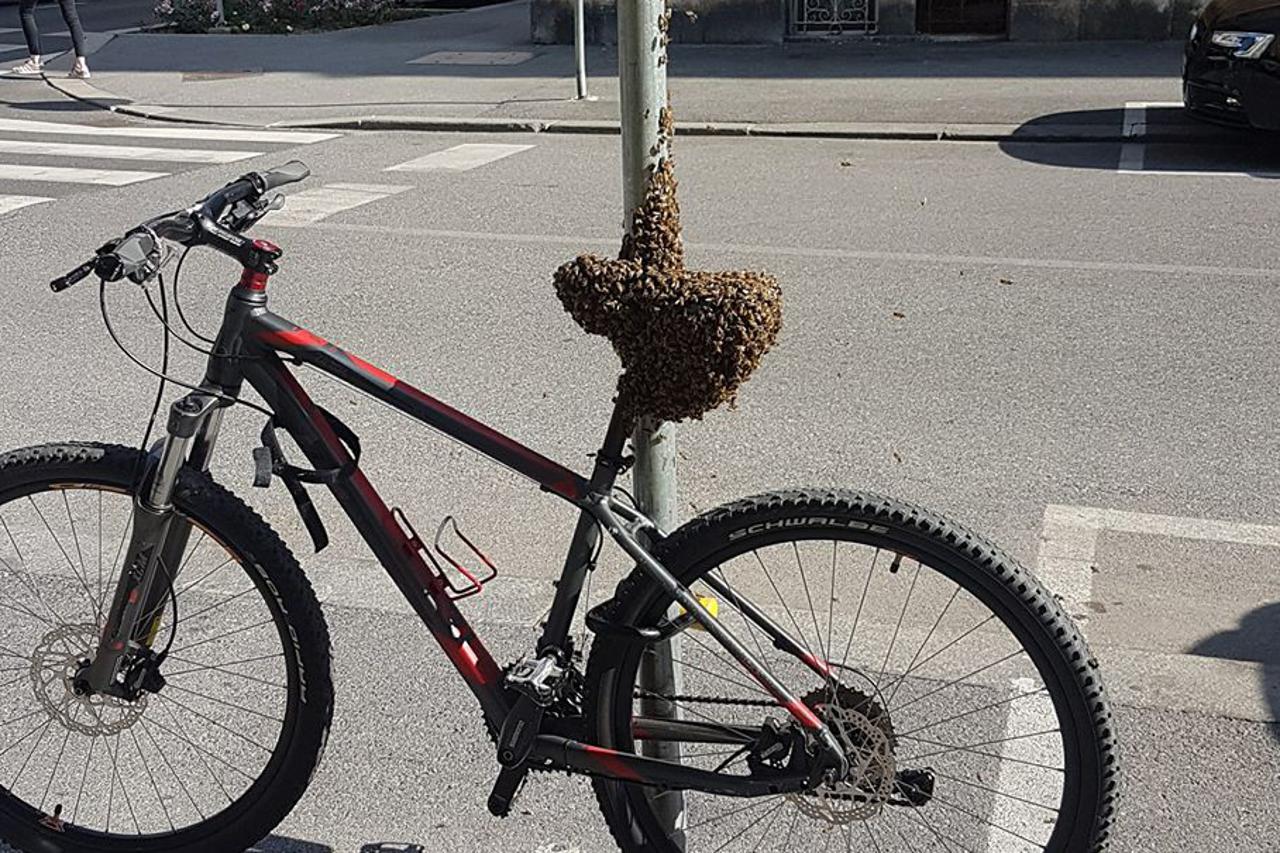 Pčele na biciklu