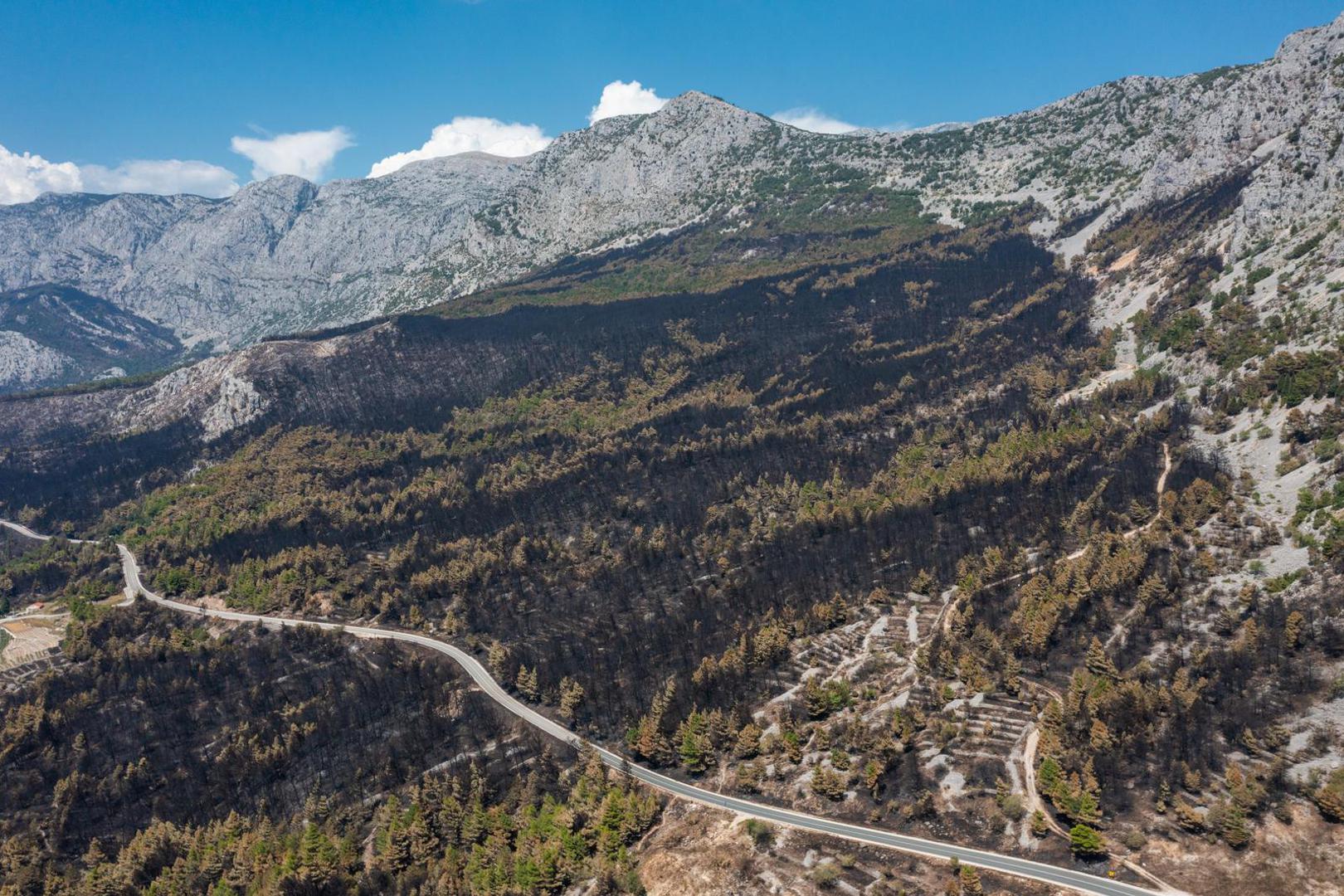 03.08.2024. Gornje Tucepi
Fotografije iz zraka opožarenog podrucja od Tucepi do Gornje Podgore i Parka prirode Biokovo. Photo: Matko Begovic/PIXSELL