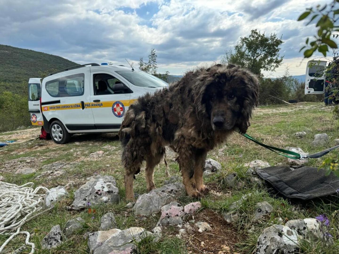 Splitski HGSS spasio je jučer psa iz jame duboke 40 metara. Akcija je provedena na području Lećevice.

