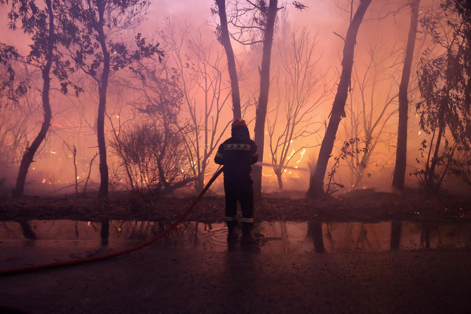 A firefighter tries to extinguish a wildfire burning in Dionysos, Greece, August 12, 2024. REUTERS/Alexandros Avramidis Photo: ALEXANDROS AVRAMIDIS/REUTERS