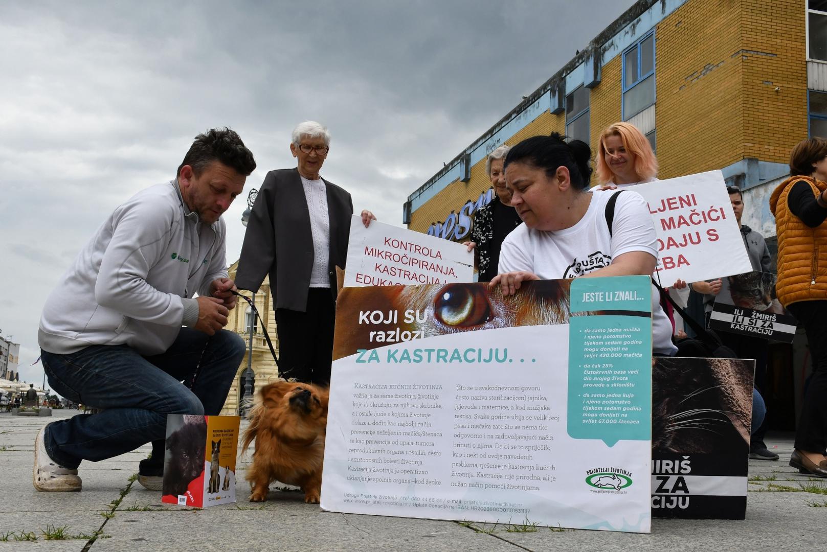 20.06.2020. Slavonski Brod - Prosvjedni skup ljubitelja zivotinja Ulica bez lutalica. Photo: Ivica Galovic/ PIXSELL