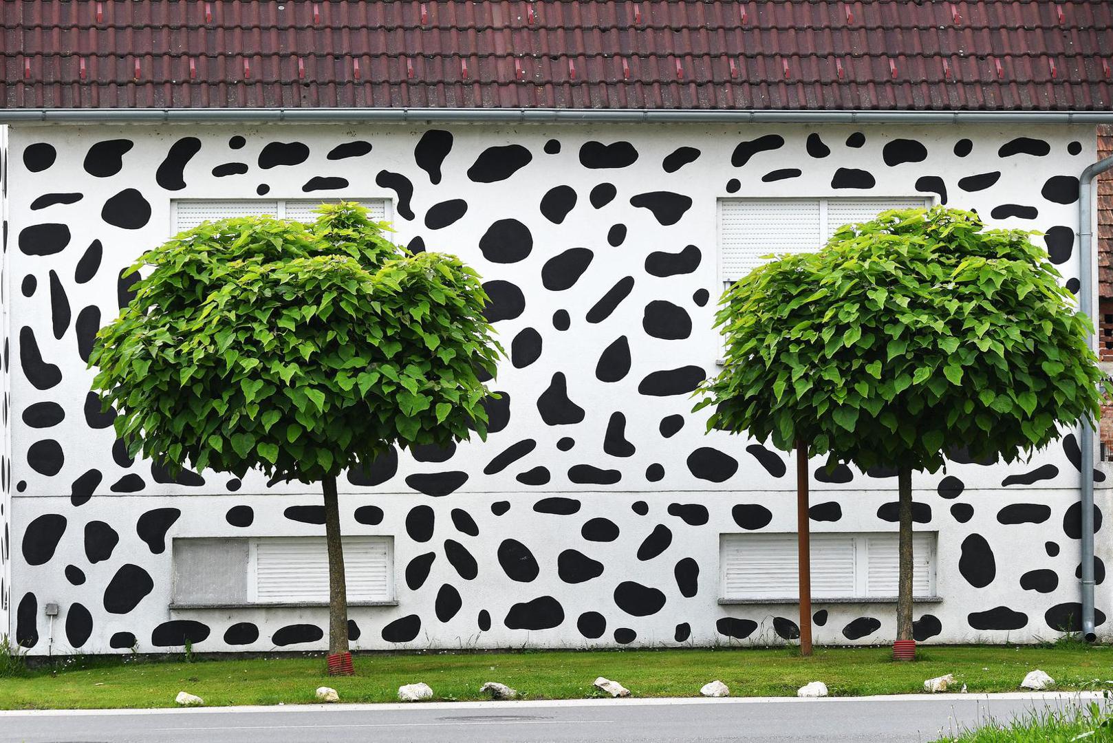 Bijela fasada prošarana je crnim mrljama koje neodoljivo podsjećaju na dalmatinskog psa, odnosno dalmatinera pa tako kuću od milja i zovu - 'Dalmatiner kuća'.
