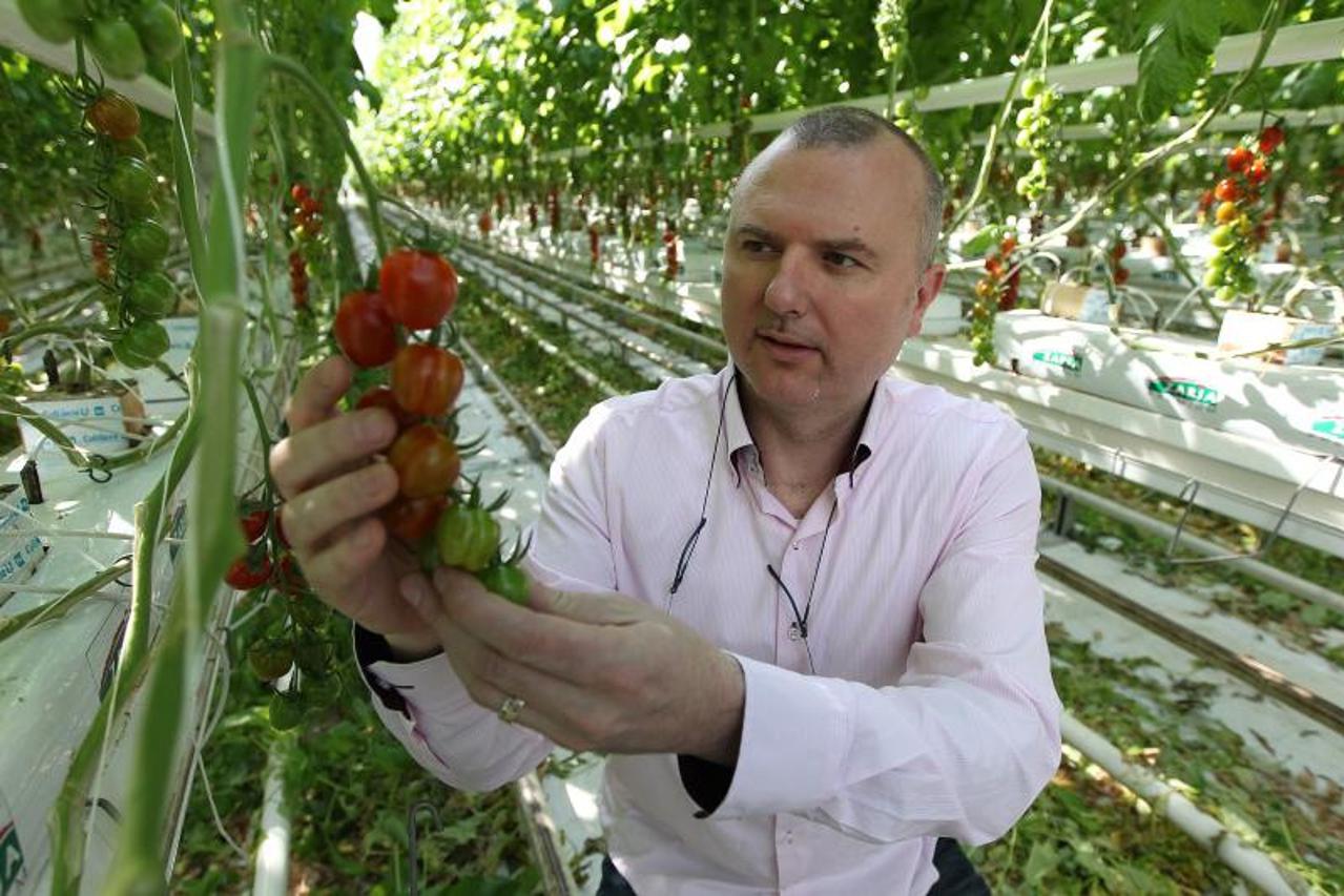 Zvonimir Belic, predsjednik uprave Zarja grupe