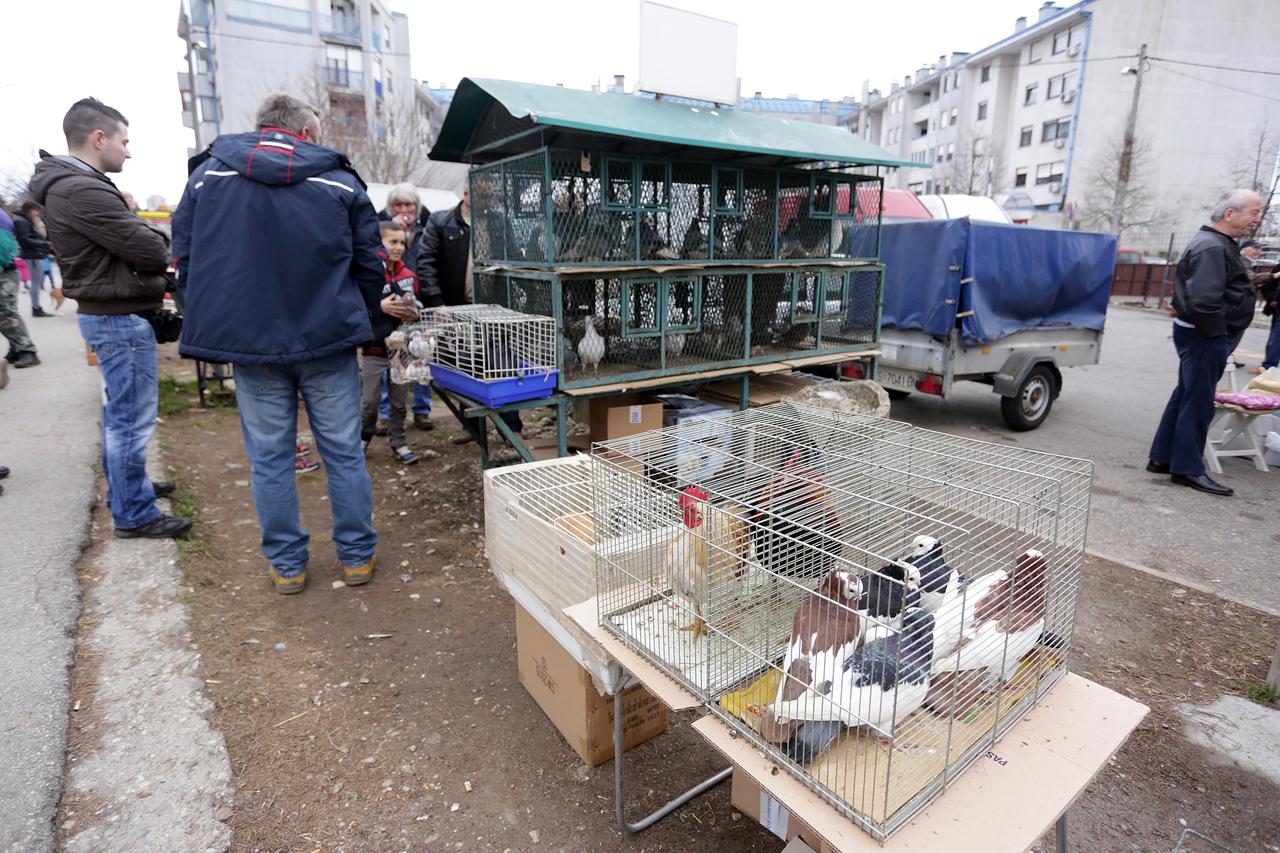 31.01.2016., Zagreb - Na tresnjevackom placu svake nedjelje odvija se ilegalna prodaja domacih zivotinja.  Photo: Luka Stanzl/PIXSELL