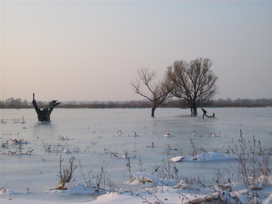 Park prirode Lonjsko polje