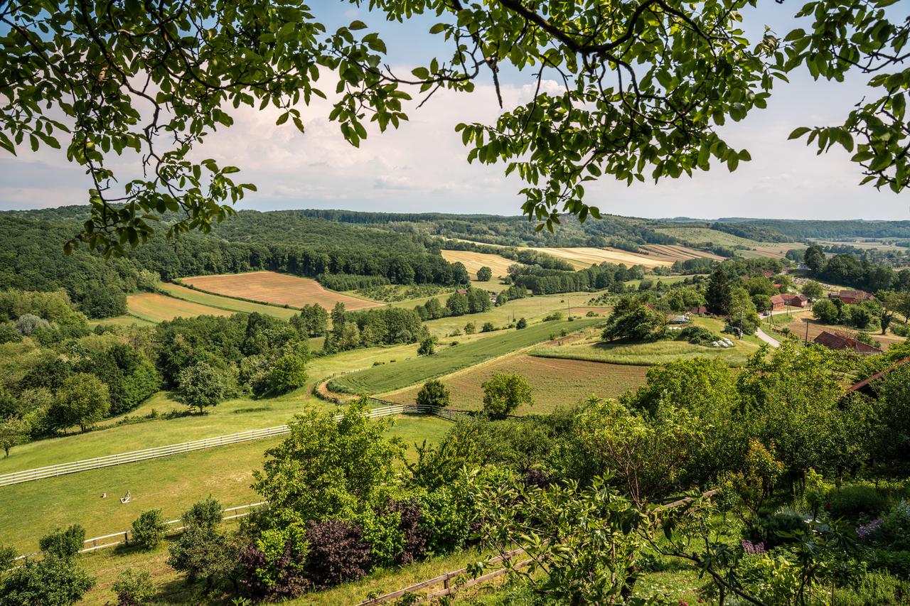 Bjelovarsko-bilogorska županija