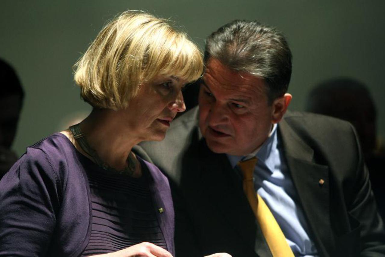 radimir čačić,vesna pusić,portal