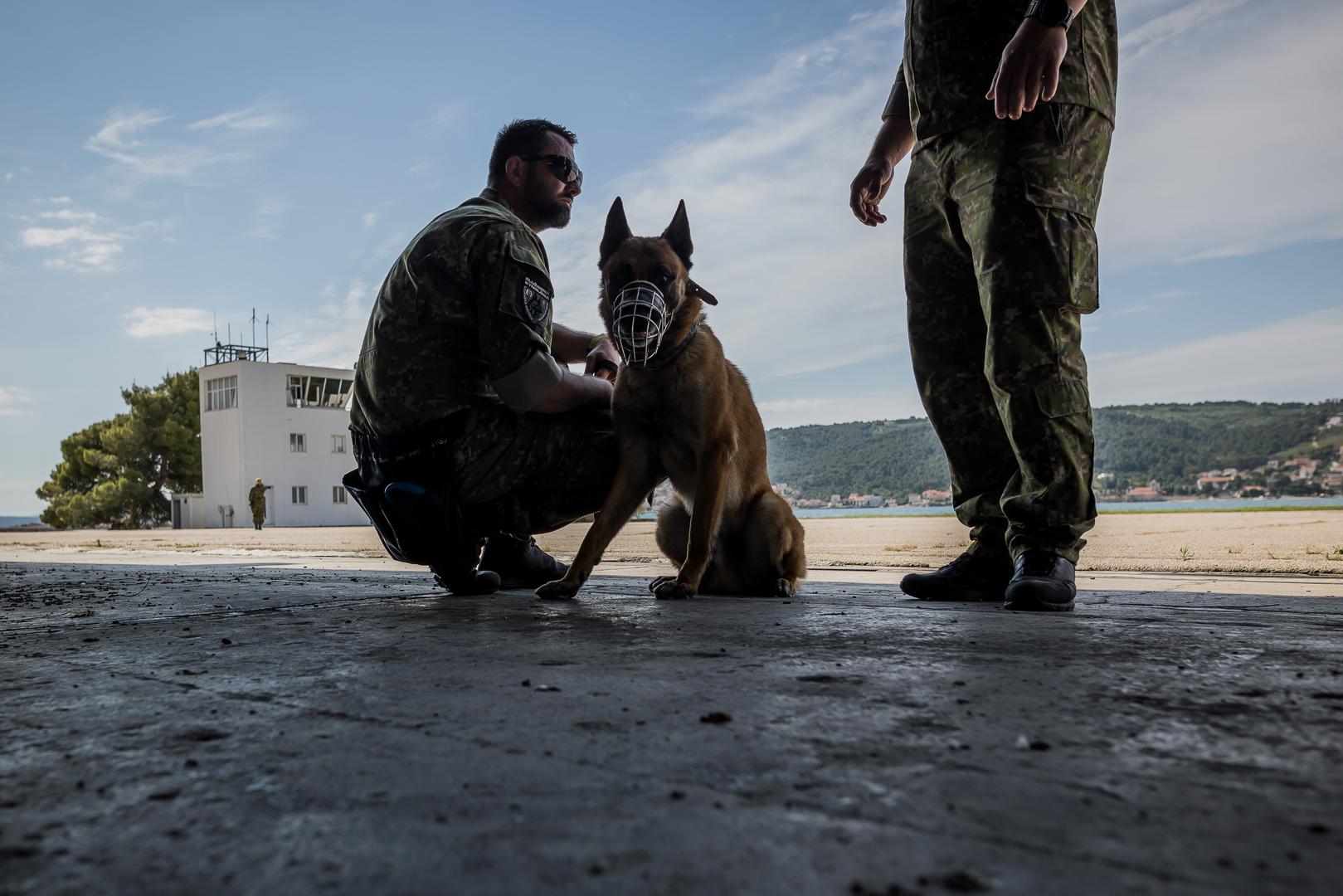 Tijekom vježbe, psi su pokazali svoje vještine u radu s helikopterima Hrvatskog ratnog zrakoplovstva, gliserima i gumenjacima iz sastava Hrvatske ratne mornarice. Također, njihova operativna sposobnost provjerena je na simuliranom poligonu za detekciju droga i eksploziva u hangaru vojarne.