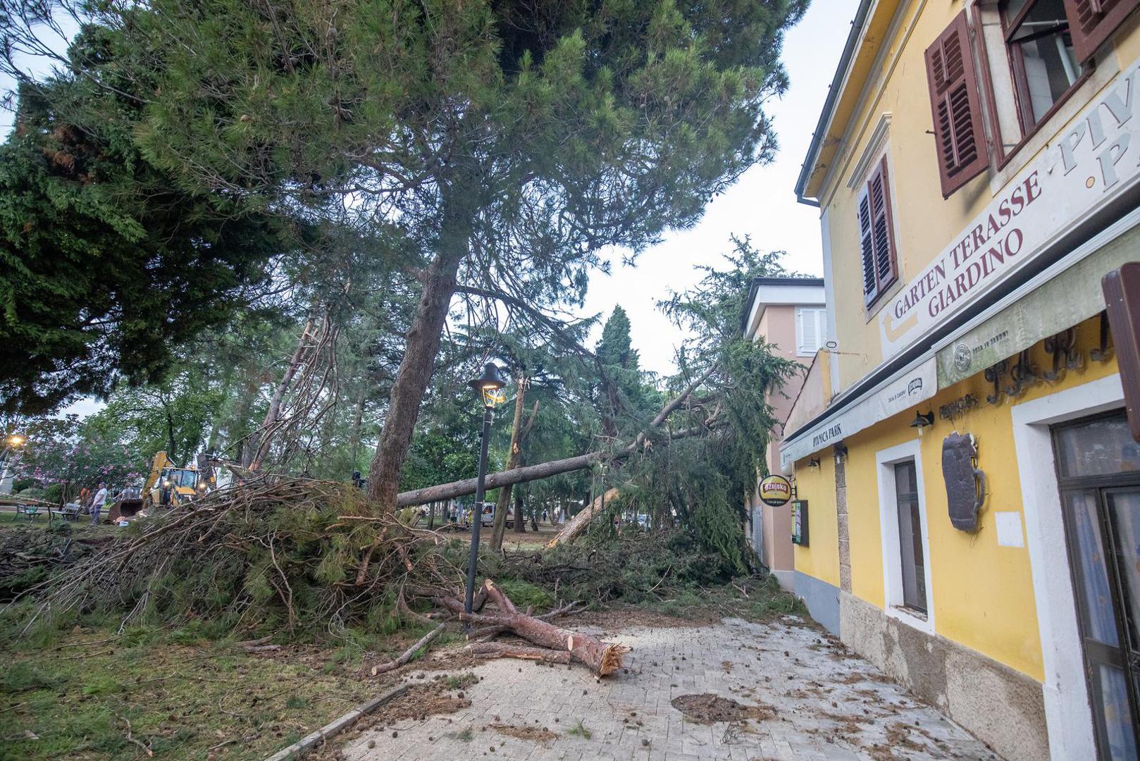 21.07.2023., Novigrad - Jako olujno nevrijeme pogodilo je  Istruu, a najvise je stradao  zapadni dio poluotoka, posebno  Novigrad, gje je nastala velika steta na sirem podrucju grada. Photo: Srecko Niketic/PIXSELL