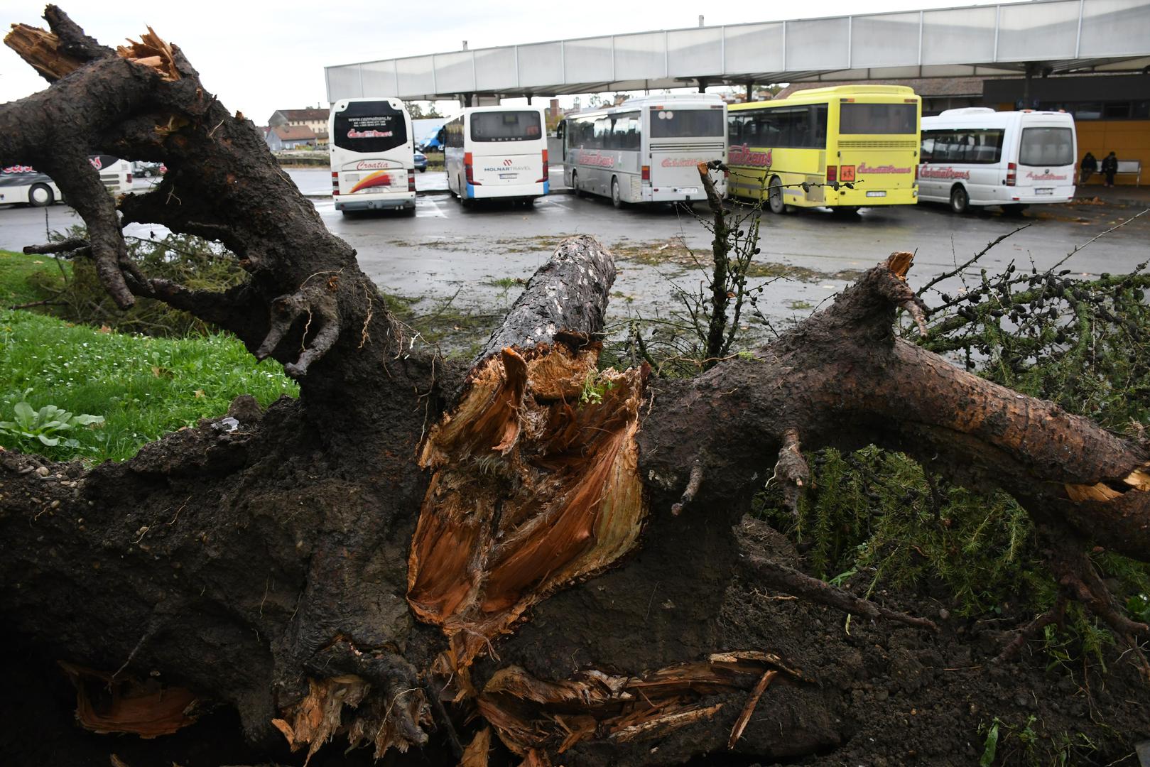 Županijski centar 112 u Bjelovaru primio je desetak poziva u vezi oštećenja autobusa, automobila te krovišta zgrada.

