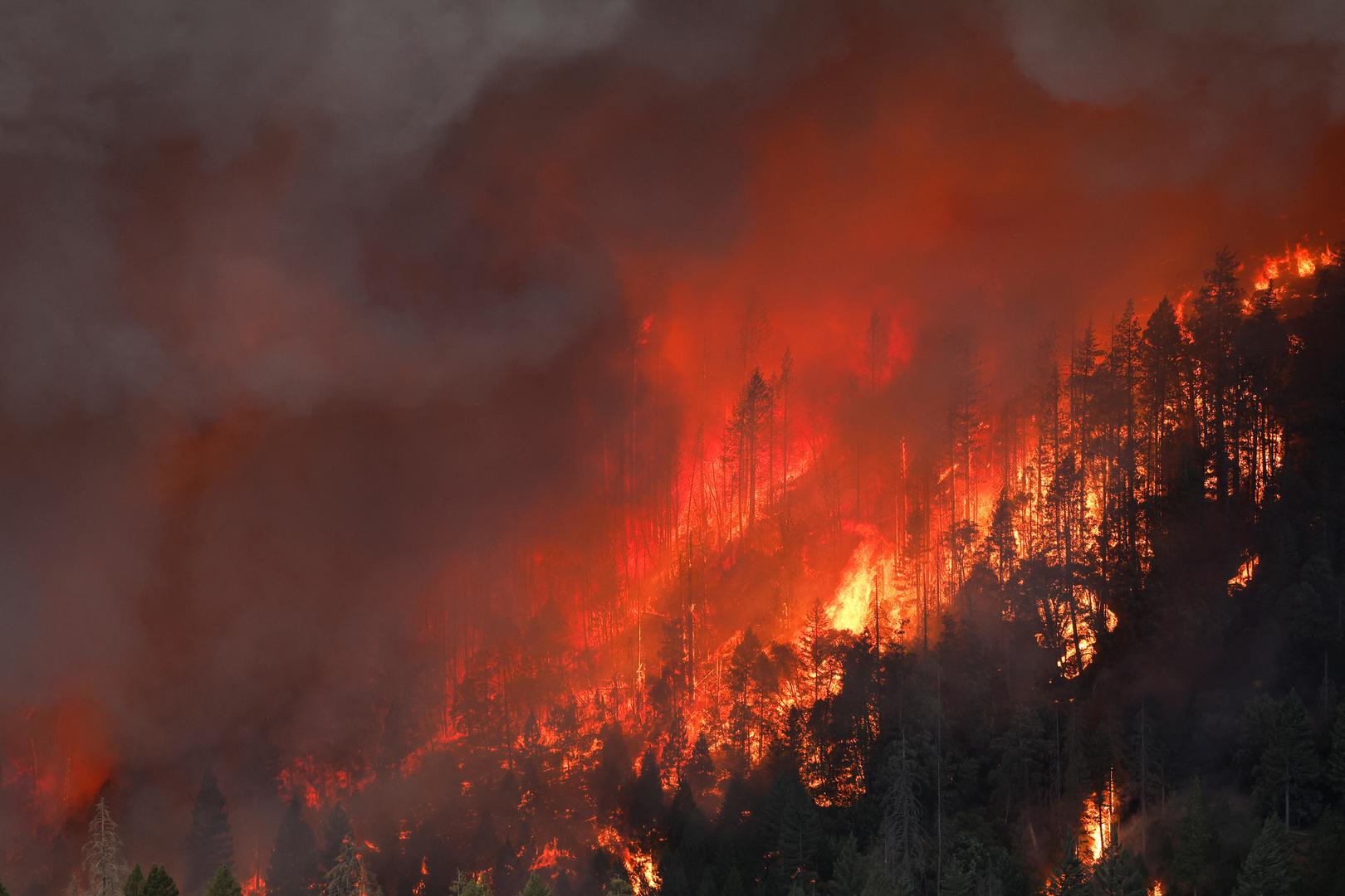 A wildfire is seen along Highway 32 near Butte Meadows, California, U.S. July 26, 2024. REUTERS/Fred Greaves Photo: FRED GREAVES/REUTERS