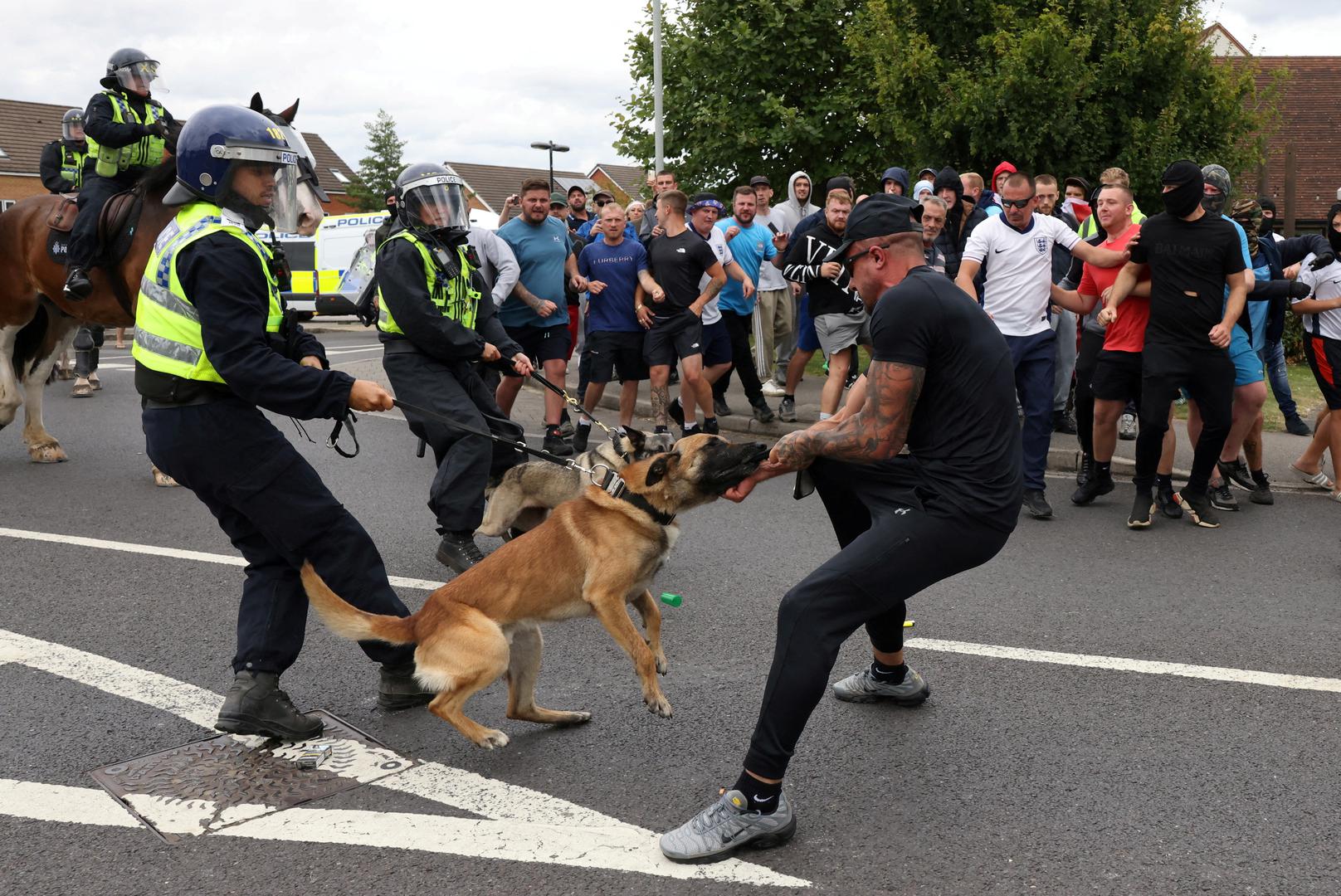 A police dog attacks a protester in Rotherham, Britain, August 4, 2024. REUTERS/Hollie Adams Photo: Hollie Adams/REUTERS