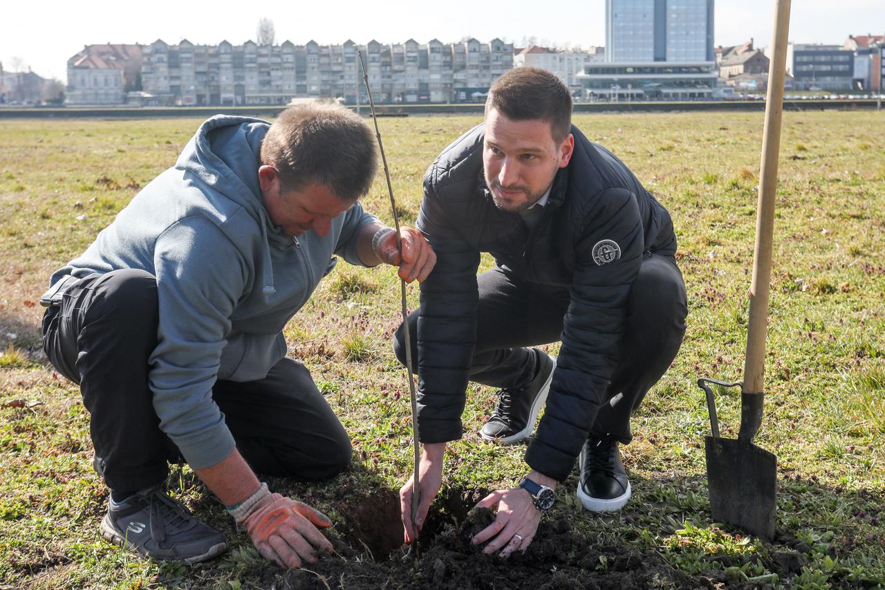 Zasađena stabla u sklopu projekta „Slavonski botanički vrt“ Zelenih Hrvatske iz Osijeka