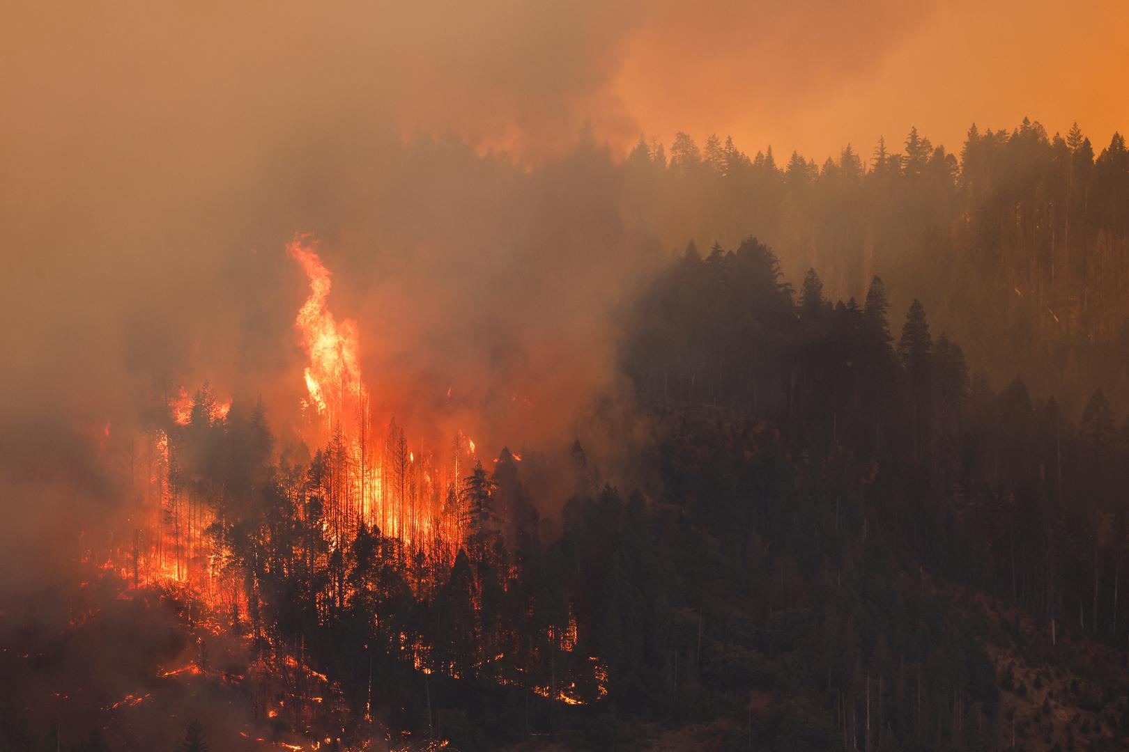 FILE PHOTO: A wildfire is seen along Highway 32 near Butte Meadows, California, U.S. July 26, 2024. REUTERS/Fred Greaves/File Photo Photo: FRED GREAVES/REUTERS