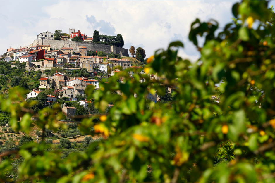 Motovun Film Festival