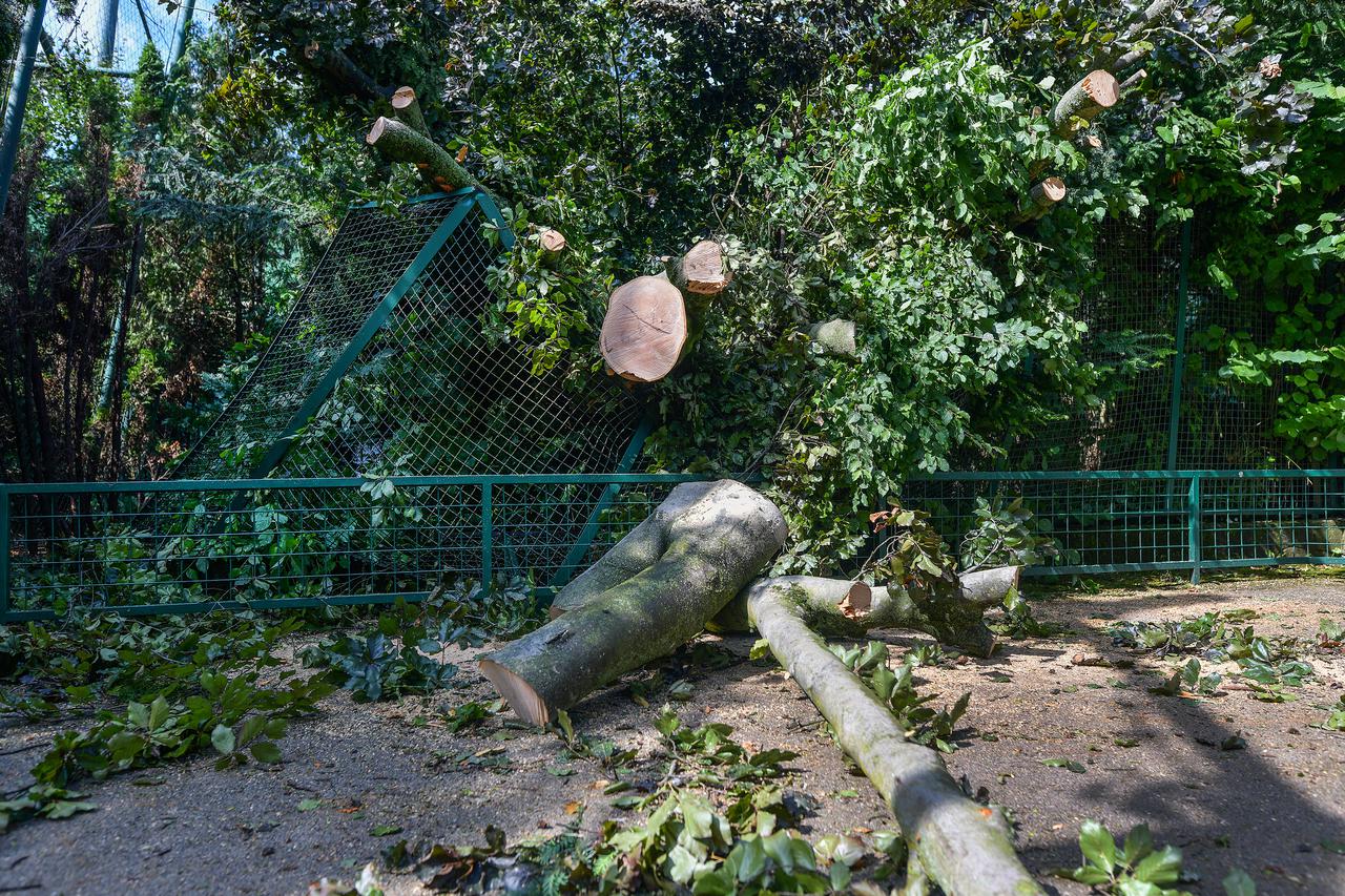 Zagreb: Zoološki vrt pretrpio štetu u nevremenu, bit će zatvoren do daljnjeg