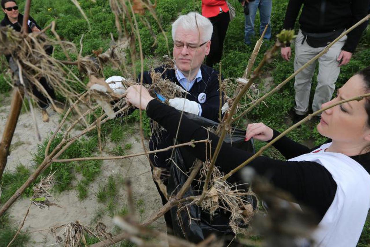 josipović (1)