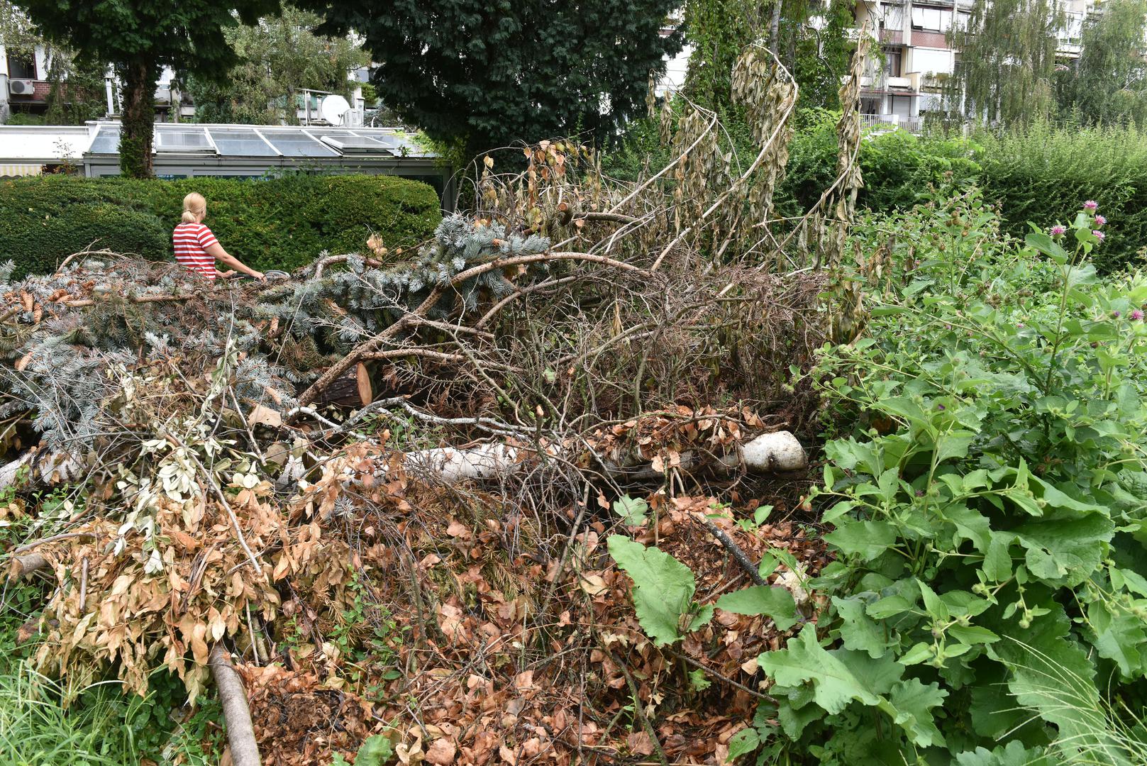 30.8.2023., Zagreb - Reportaza iz Novog Zagreba cije su javne povrsine zapustene. Photo: Davorin Visnjic/PIXSELL