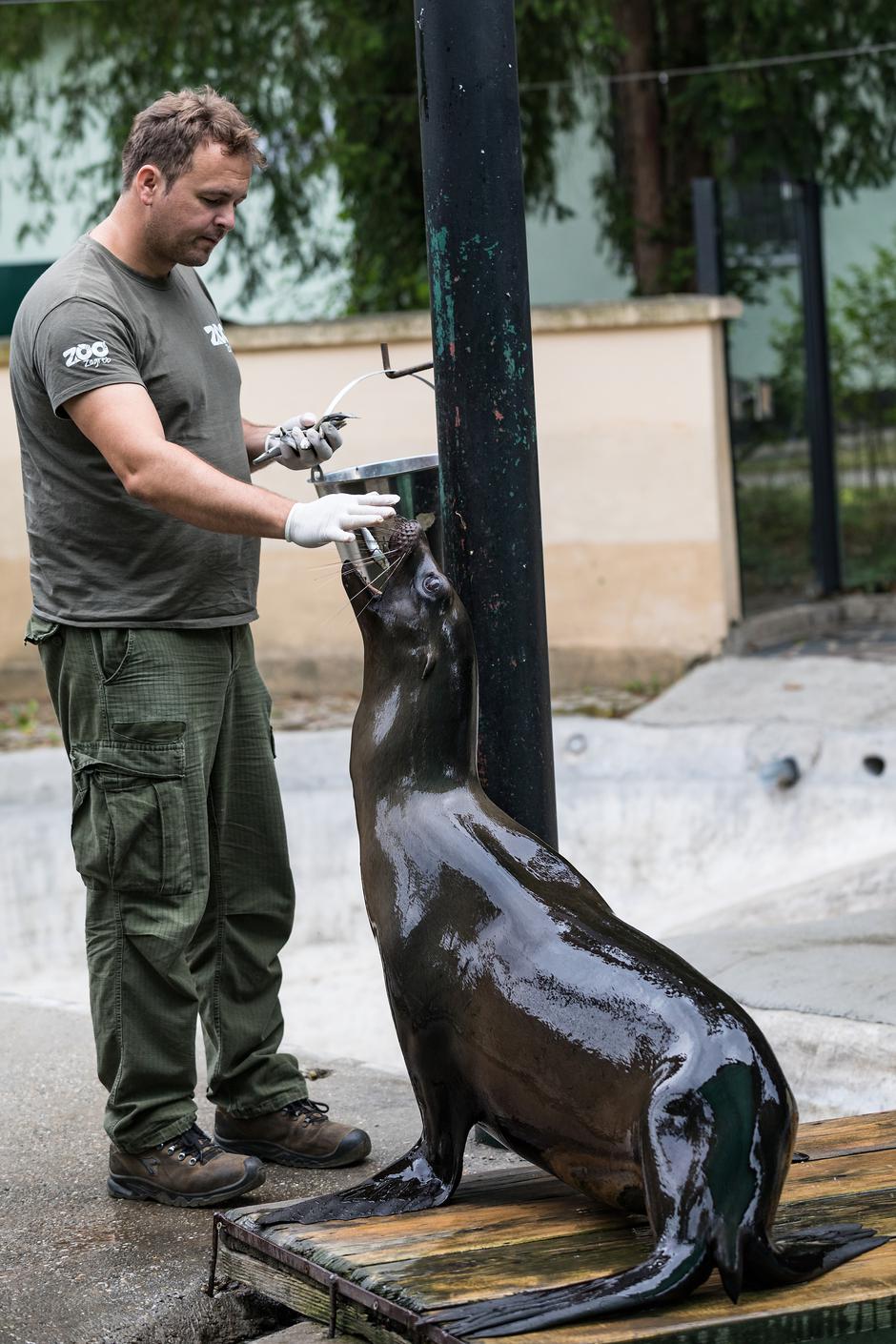 Naj životinje zagrebačkog Zoološkog vrta