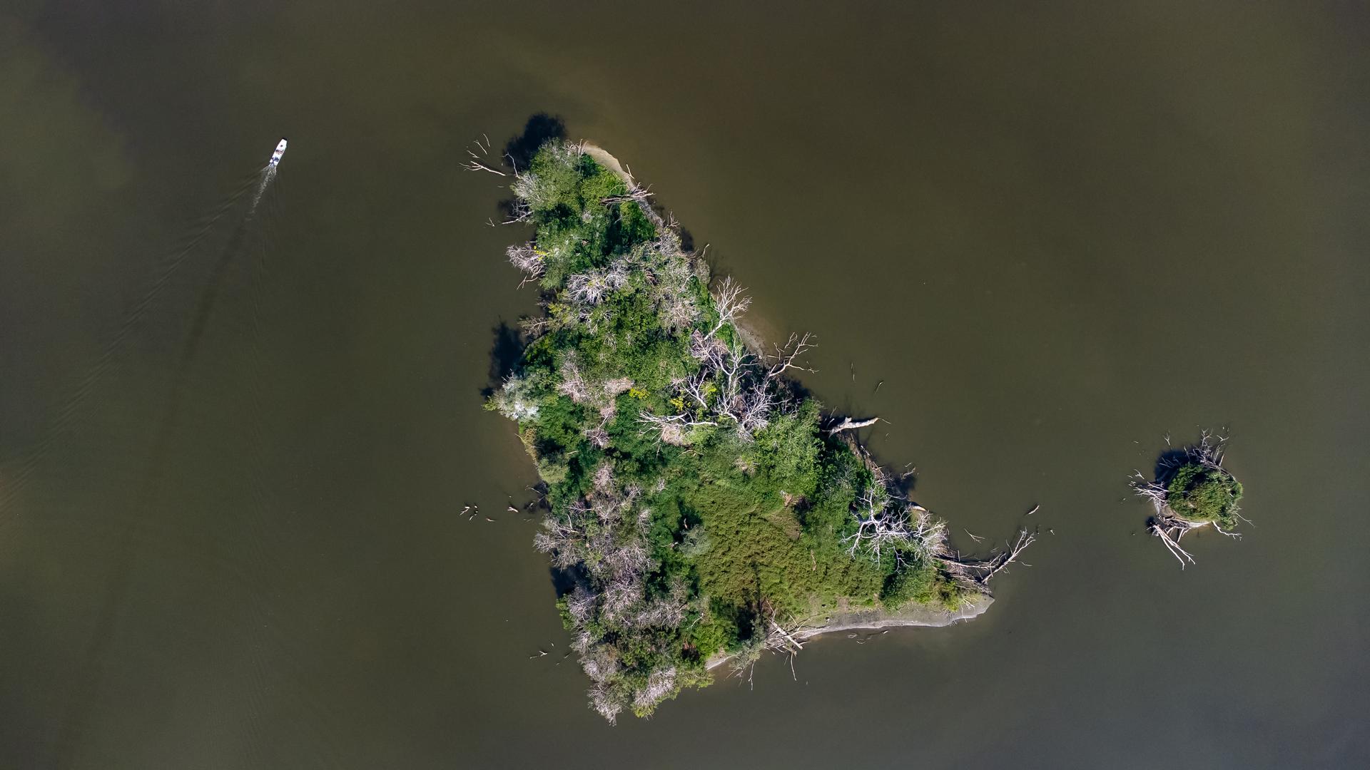 25.08.2022., Kopacki rit - Park prirode Kopacki rit jedna od najvecih mocvara Europe. Zbog niskog vodostaja rijeke Dunav veci dio Kopackog rita je bez vode. Photo: Davor Javorovic/PIXSELL