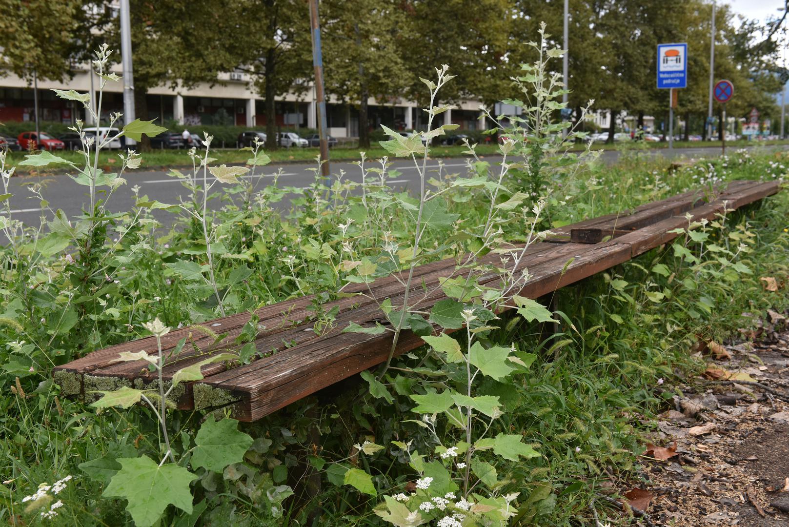 30.8.2023., Zagreb - Reportaza iz Novog Zagreba cije su javne povrsine zapustene. Photo: Davorin Visnjic/PIXSELL