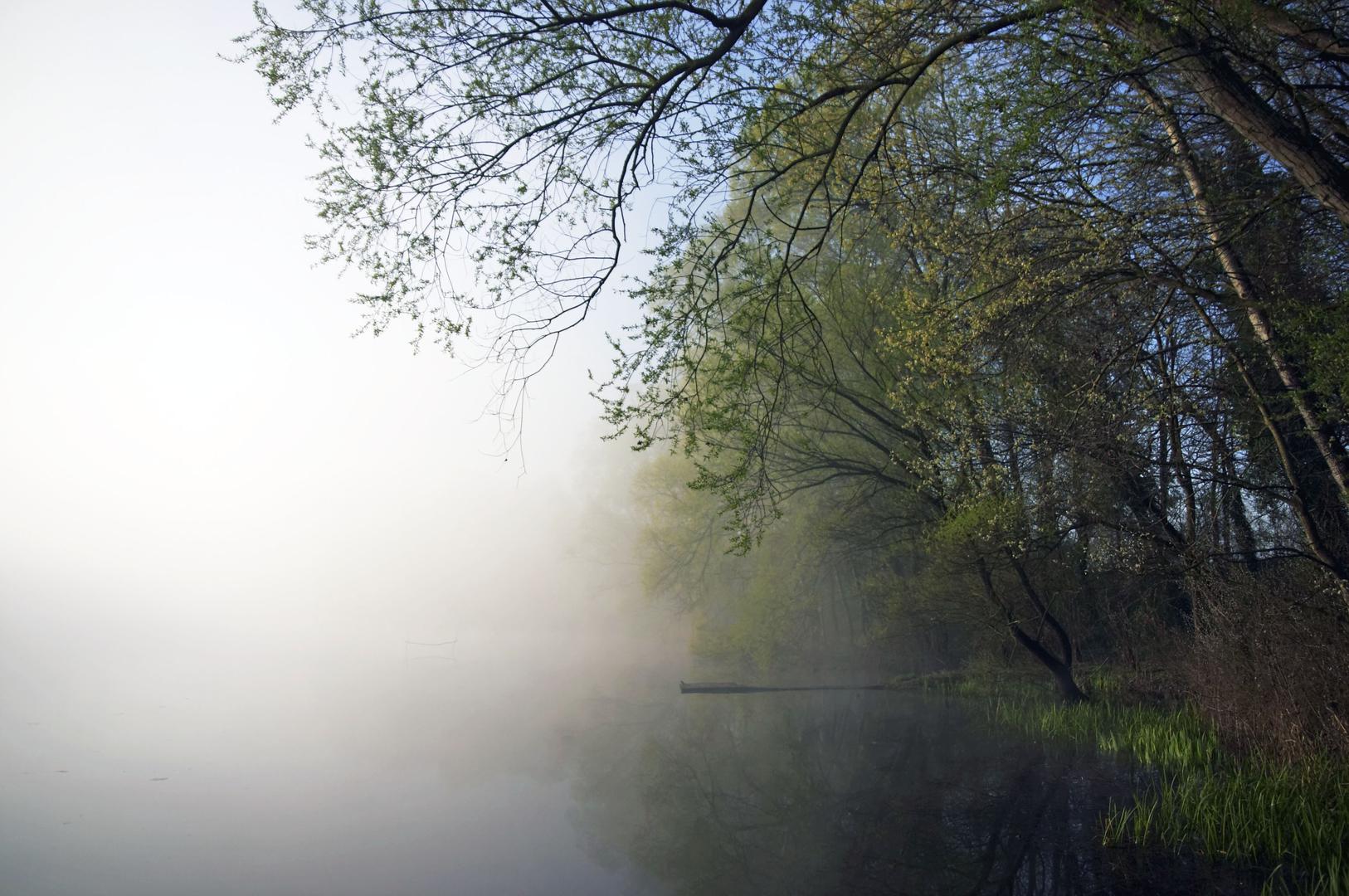 Drava - Križnica