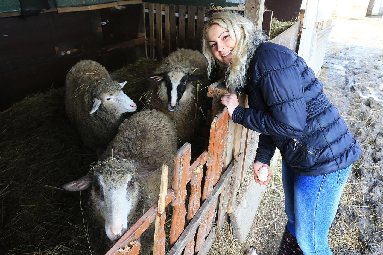 11.03.2016., Bocanjevci - Dvadesetsedmogodisnja Doris Vidosic nakon skolovanja vratila se na  selo i otvorila OPG, uzgaja zivotinje i razvija seoski turizam.  Photo: Davor Javorovic/PIXSELL