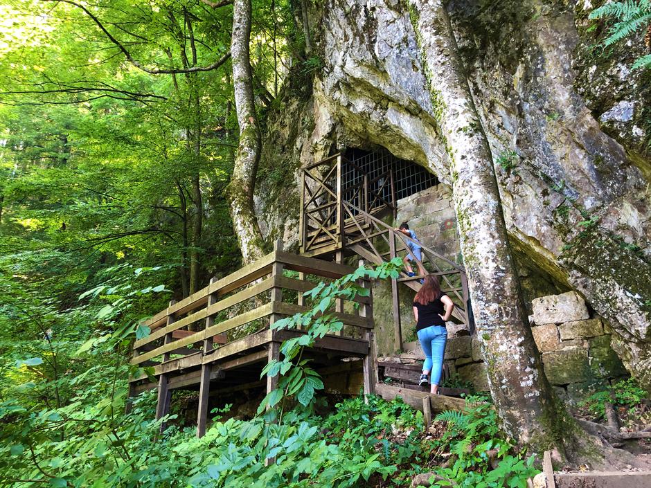 Lagana šetnja kroz park šumu Jankovac