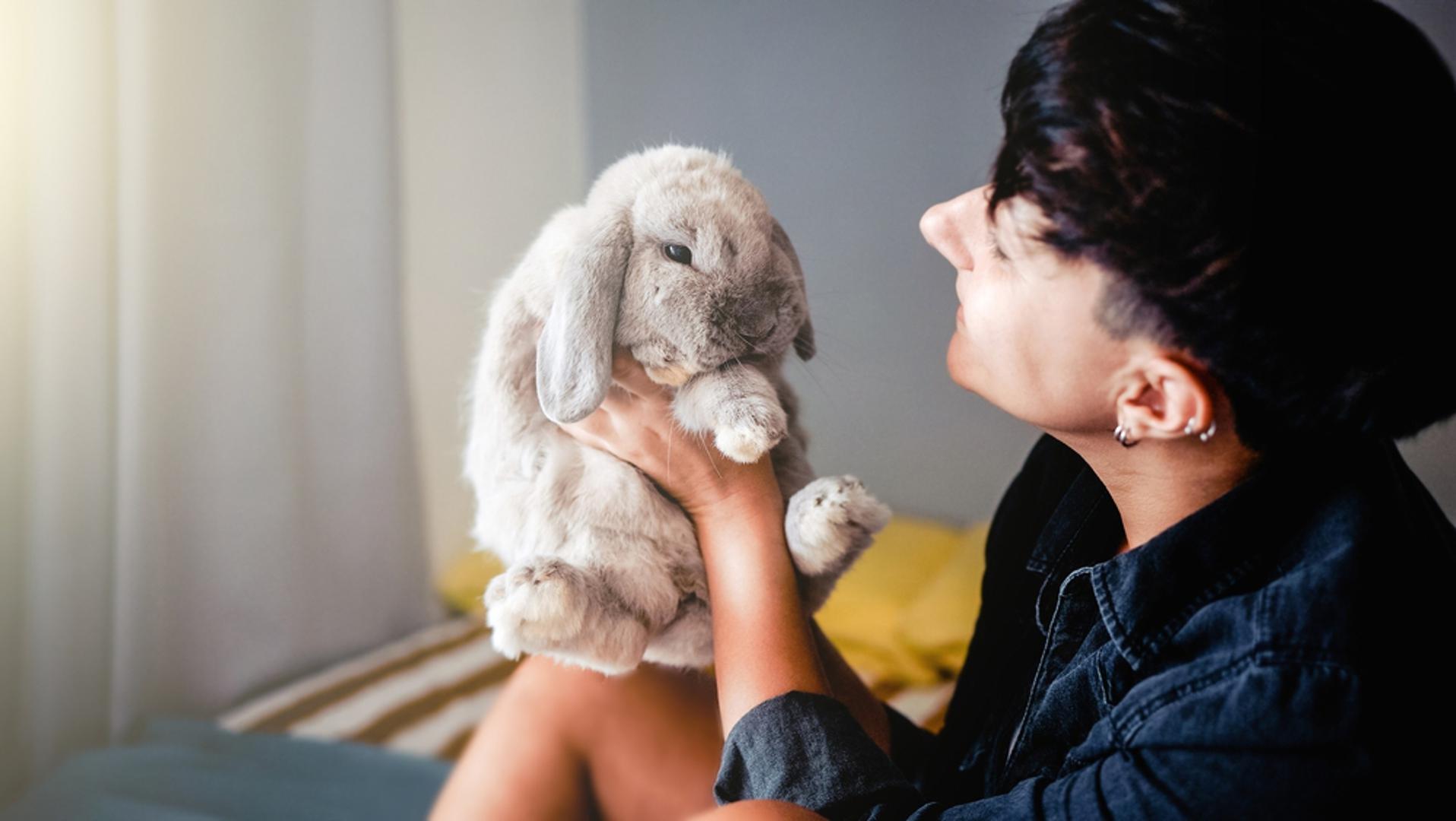 RIBE I ZEC
Zečji zubi nikada ne prestaju rasti, baš kao što srce Riba nikada ne prestaje nadati se. Osim toga, oboje lako stvaraju veze i gledaju na maženje kao na pravu vrijednost. Zečevi ne grizu, ali mogu ogrebati ako osjećaju da se s njima ne postupka kako bi trebalo. Isto vrijedi i za mnoge Ribe.