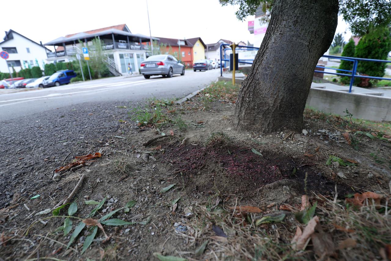 Incident u Zaprešiću