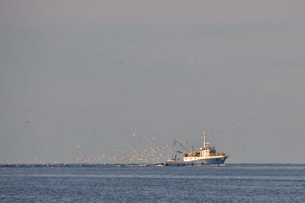 ribar rovinj