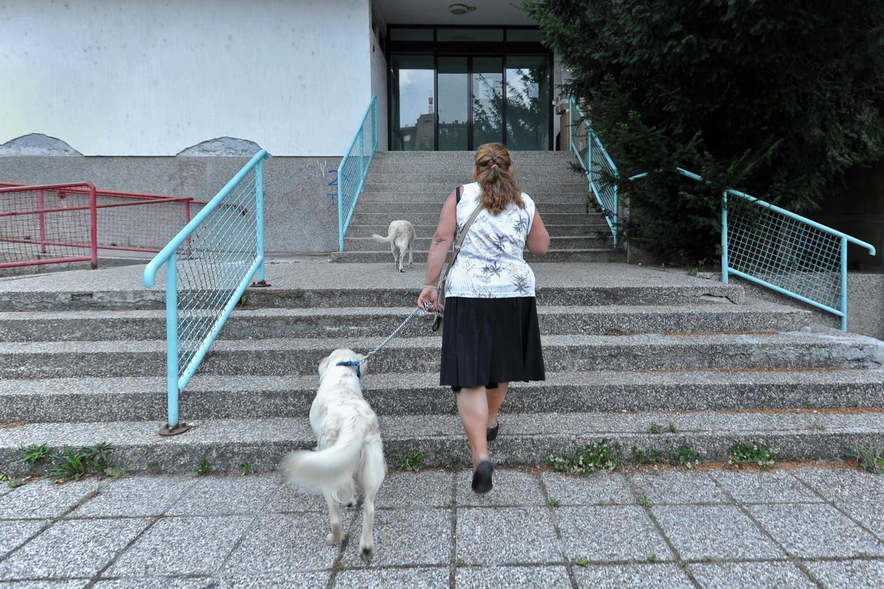 08.07.2015., Park prijateljstva 1, Zagreb - Vec vise od sto dana sa svoja dva psa spava u kartonskoj kutiji pored zgrede osiguranja. Photo: Nina Djurdjevic/PIXSELL