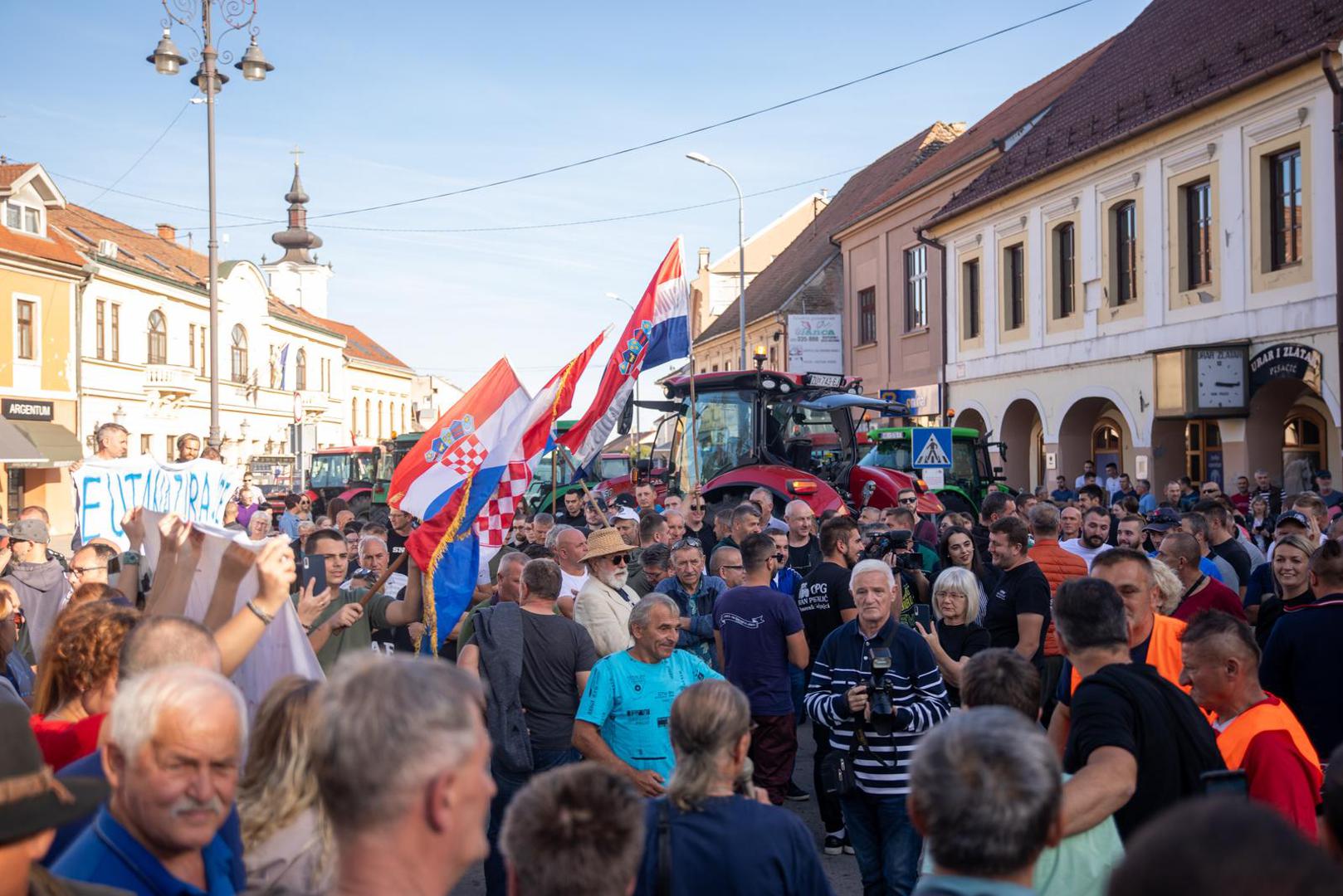 29.10.2023., Vinkovci - Prosvjed svinjogojaca u Vinkovcima zbog africke svinjske kuge. Photo: Borna Jaksic/PIXSELL