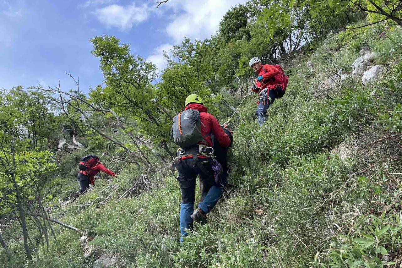 Riječki HGSS u dvodnevnoj akciji spasio psa koji je pao u provaliju u zaleđu Brseča