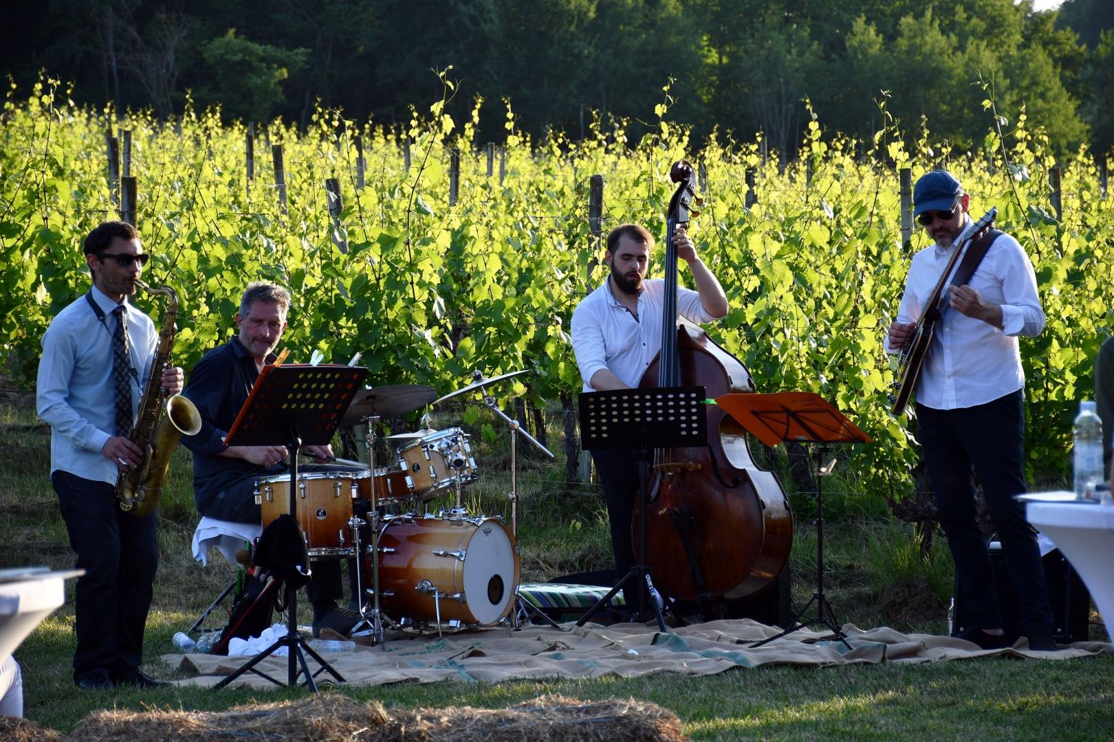 19.06.2021., Brodski Stupnik - U vinogradima ispred vinskog hotela „Stupnicki Dvori“ odrzana je po prvi put enolosko-gastronomska manifestacija „Zalazak u vinogradu“ u organizaciji Turisticke zajednice Meridiana Slavonica i TZ Brodsko-posavske zupanije. 
Photo: Ivica Galovic/PIXSELL